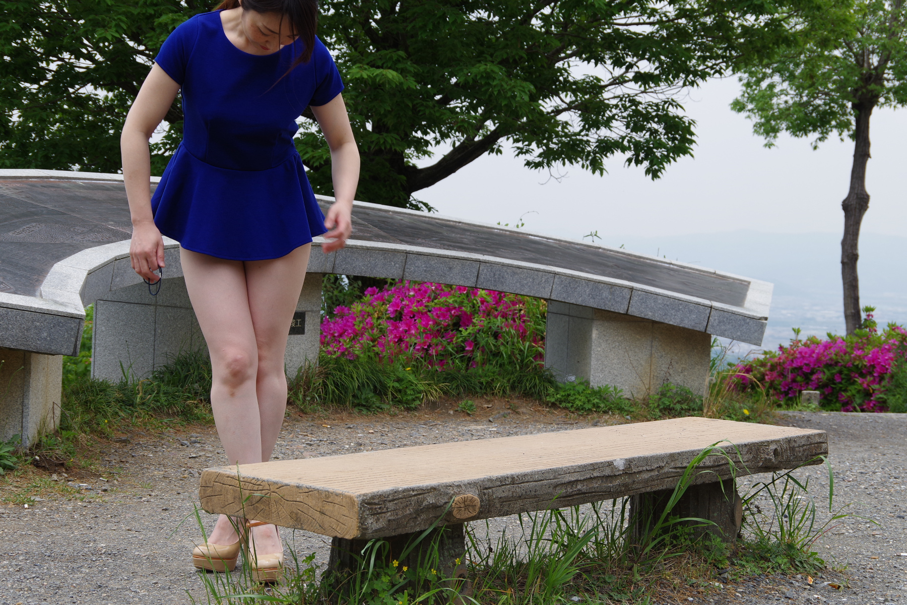 ワカメちゃんの画像その1