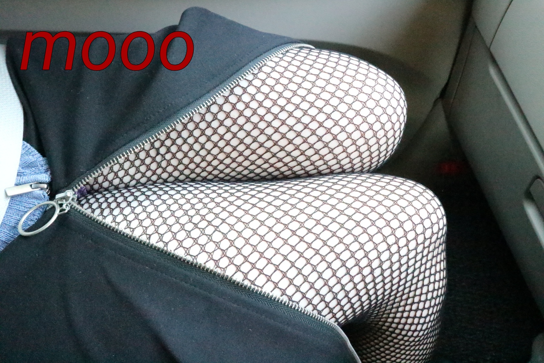 野外の画像その1