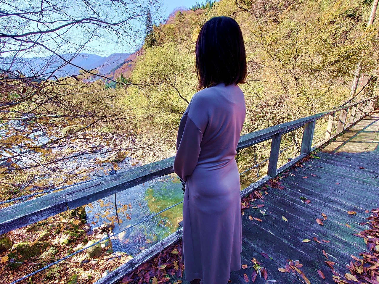 過行く秋にの画像その1