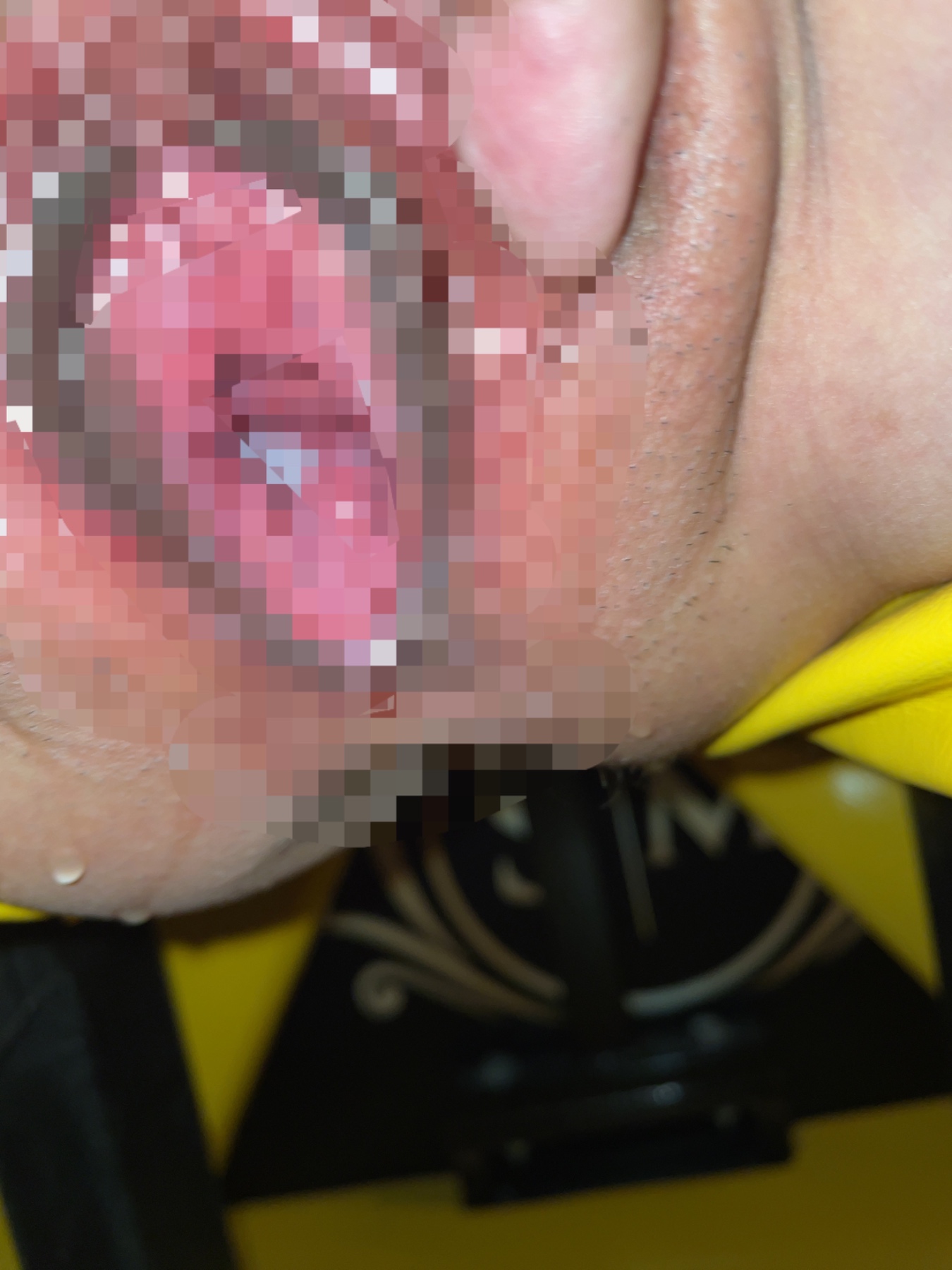 昨日の画像その3