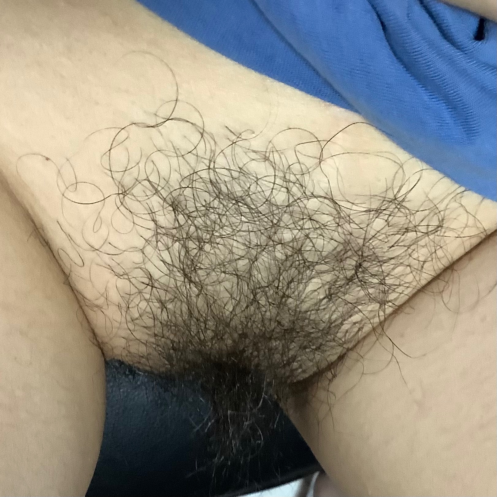 熟妻の画像その1