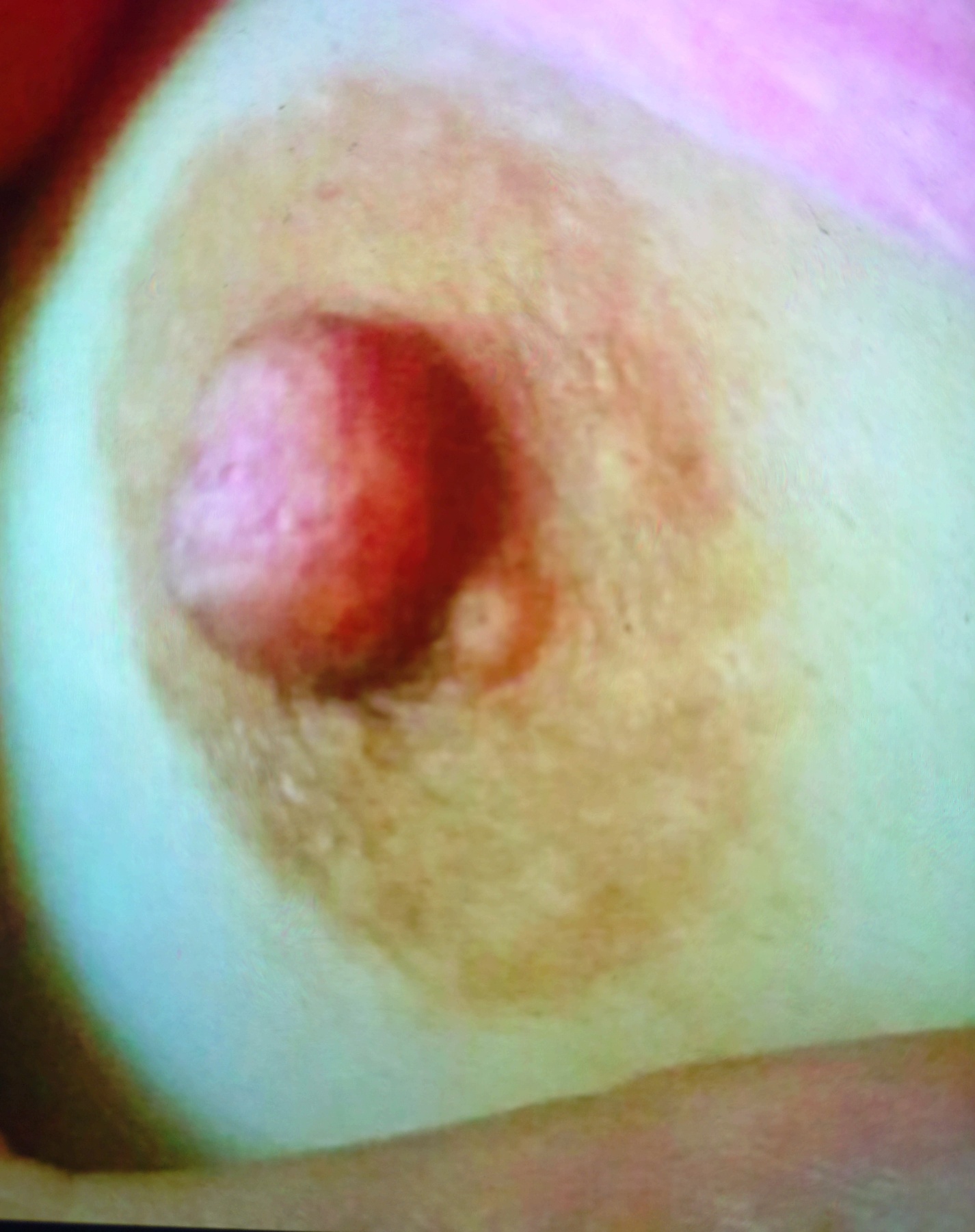 嫁の乳の画像その5