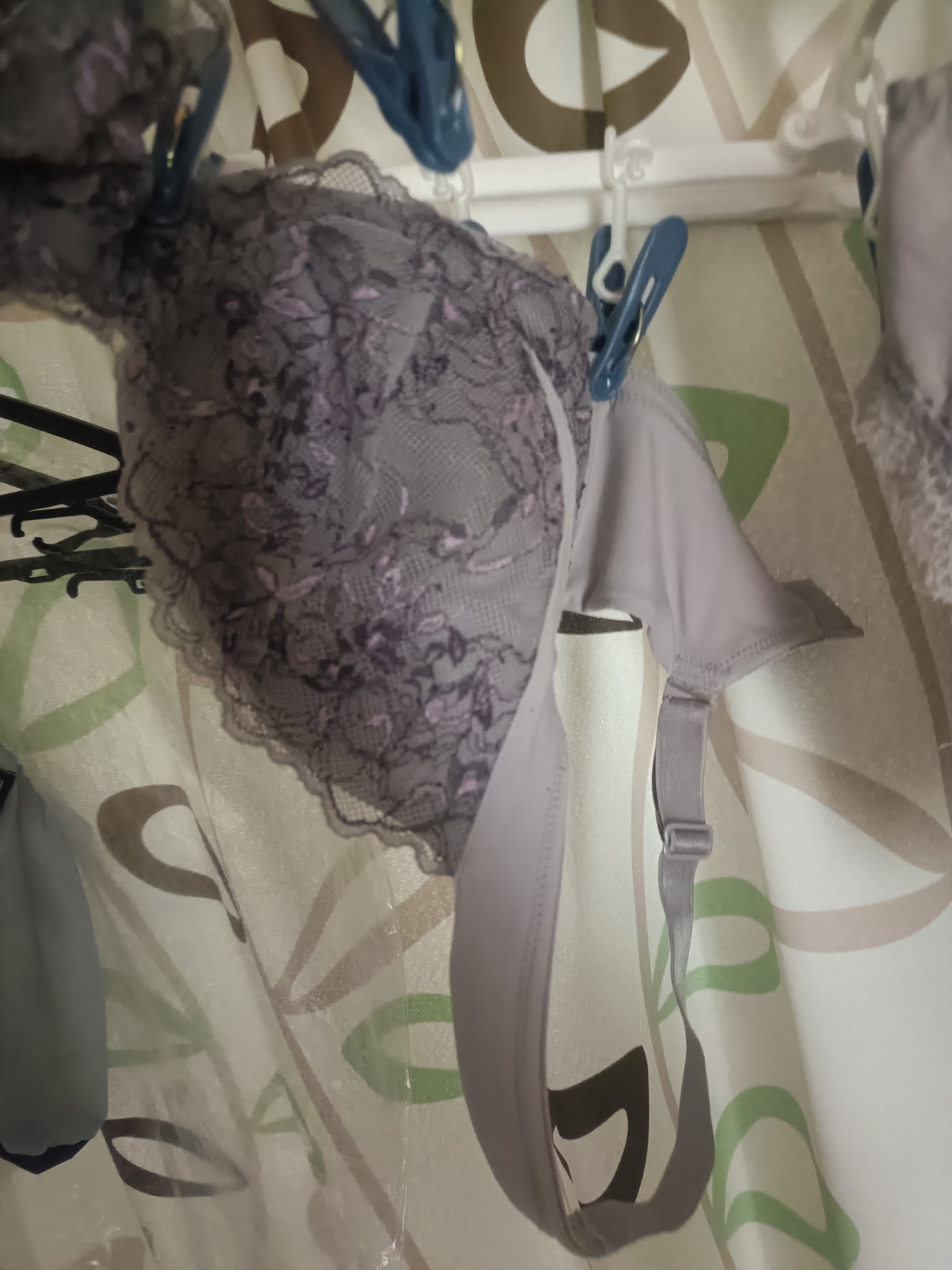 義母の下着の画像その2