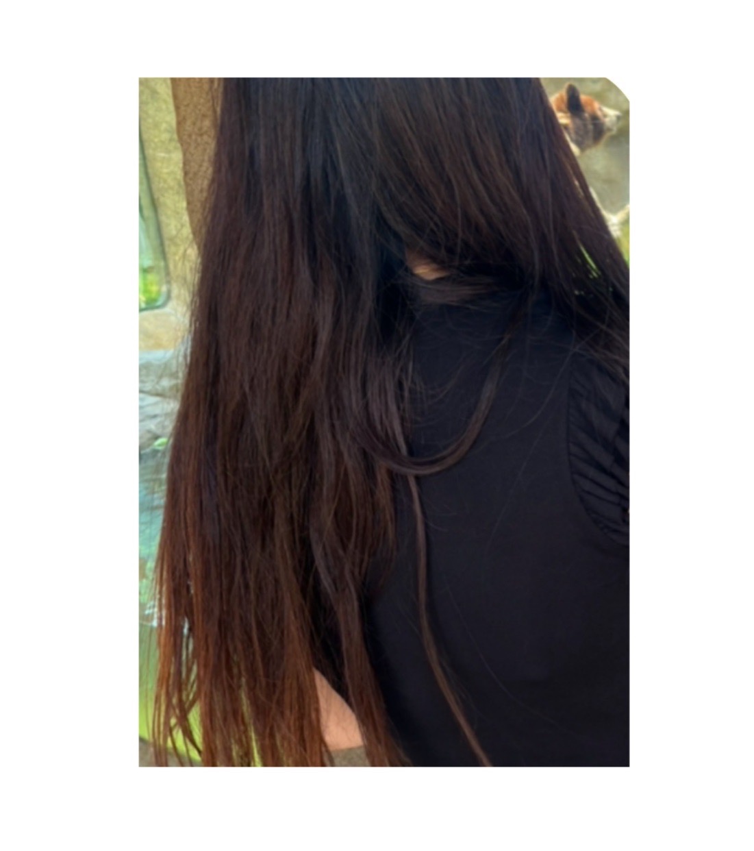 ちっぱい嫁の画像その1