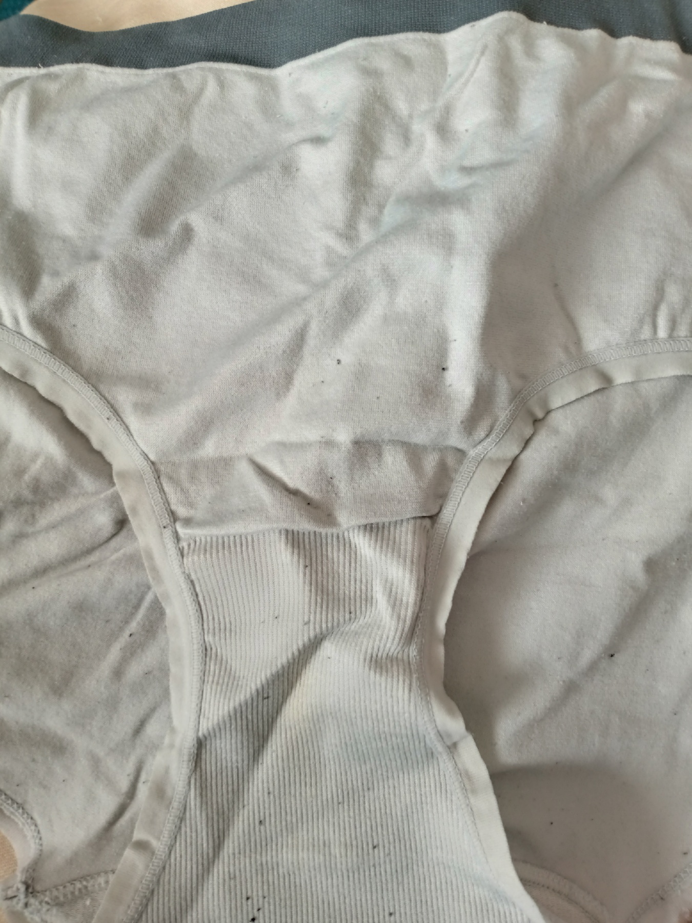 実の母のパンツを見てくださいの画像その1