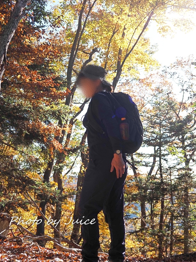 アラフィフ先生妻の画像その1