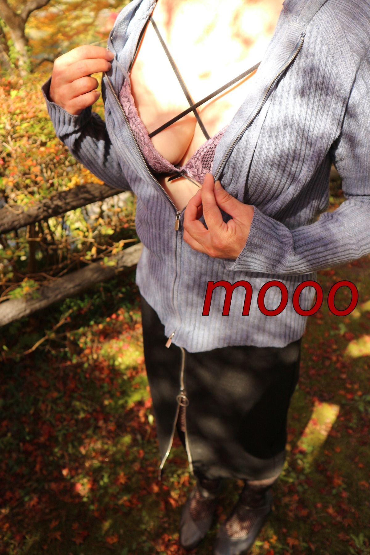 野外２の画像その2