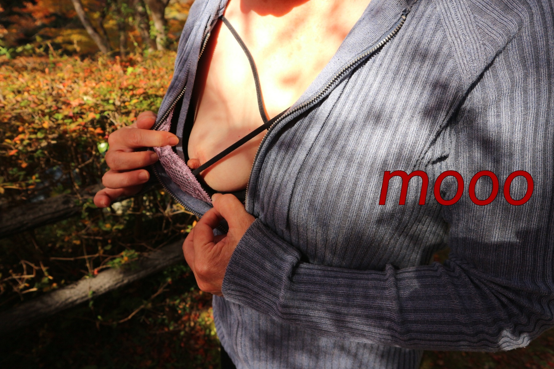 野外２の画像その3