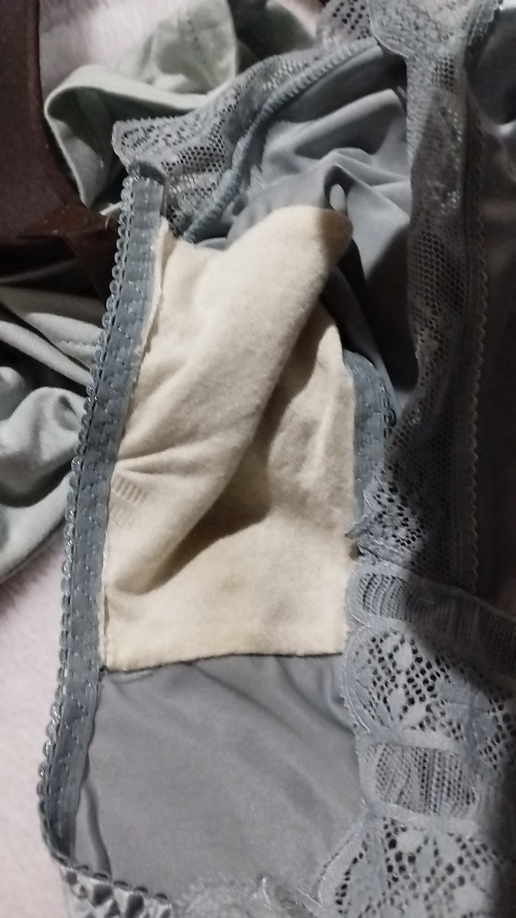 変わり映えしない熟嫁の下着の画像その3