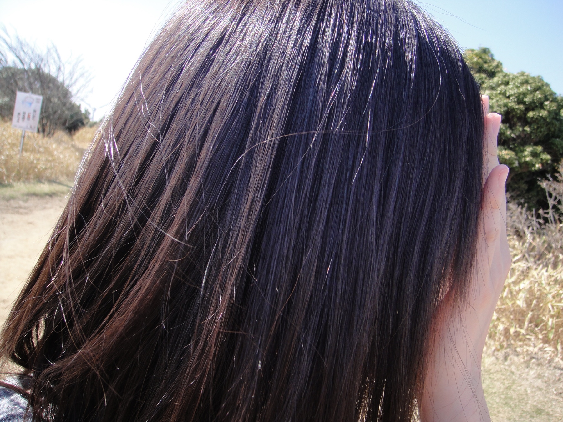 生理中の妻の大事な部分の画像その1