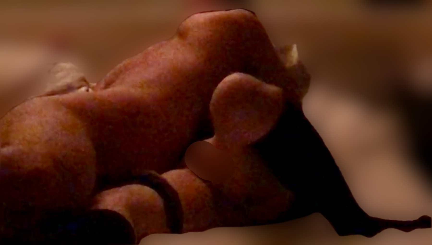 女上司③【期間限定】の画像その2