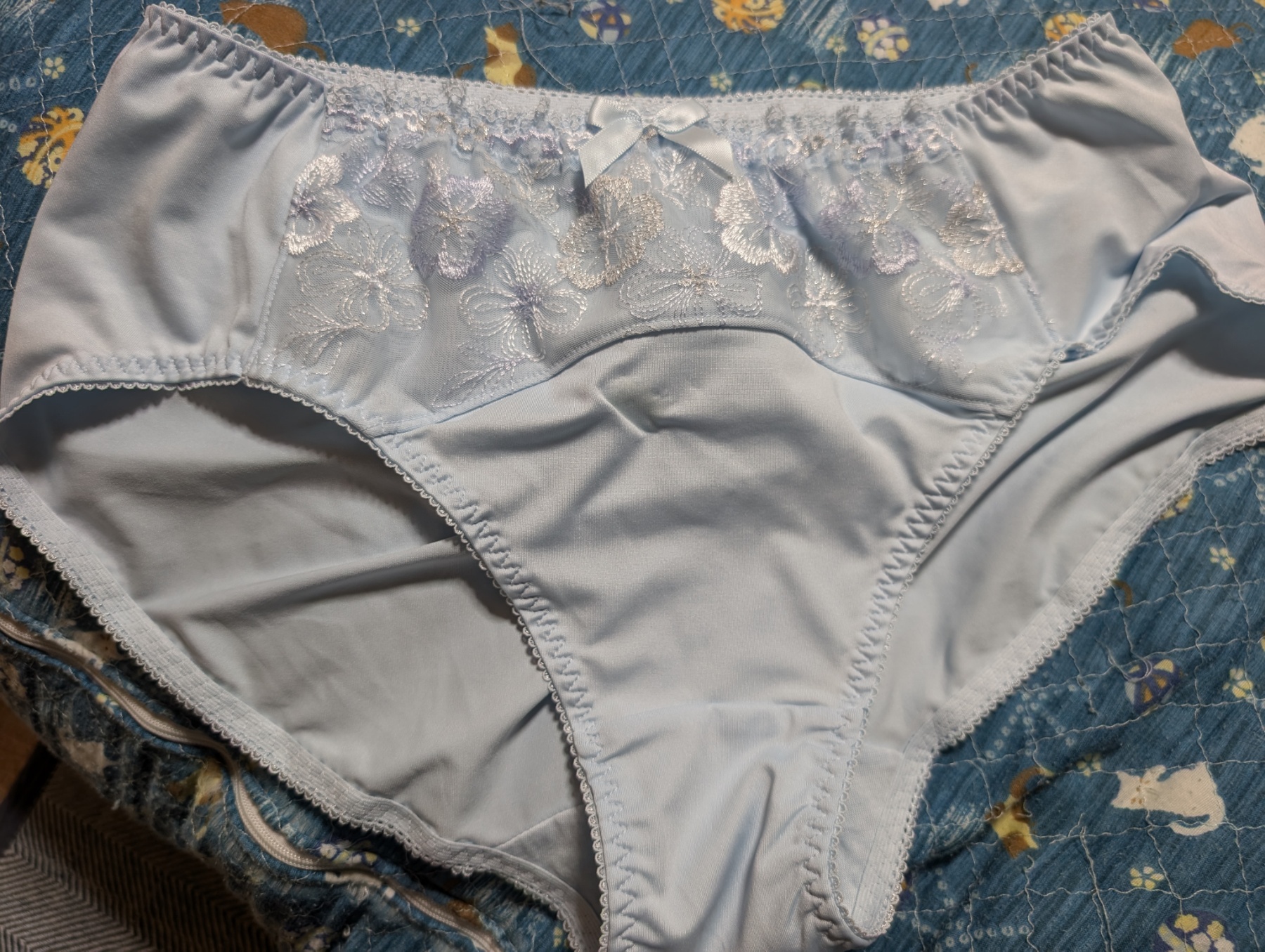 アラ還前の画像その1