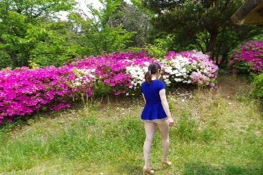 ワカメちゃん 続き