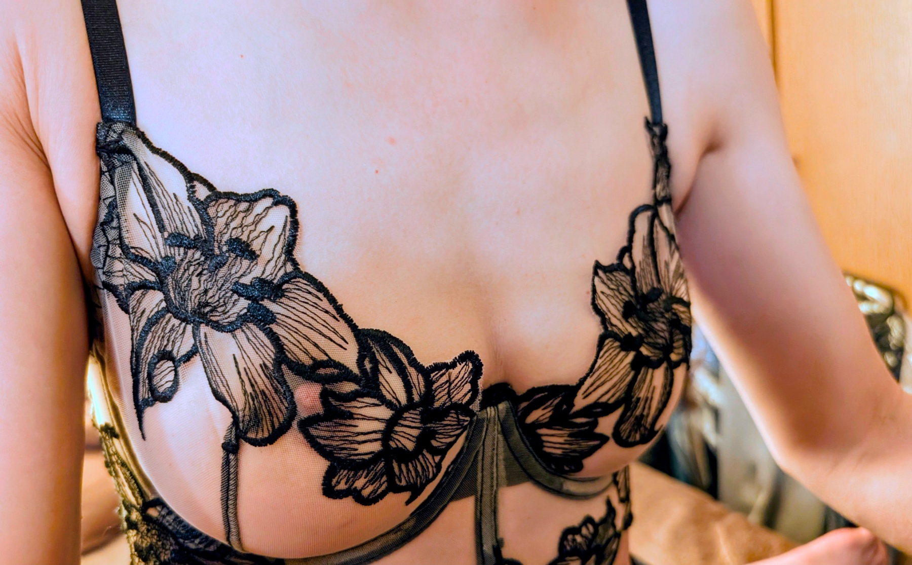 愛妻の透けた乳首の画像その2