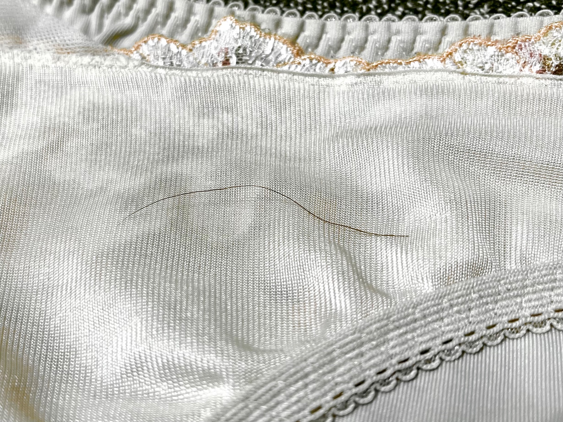 妻の汚パンツ②の画像その3