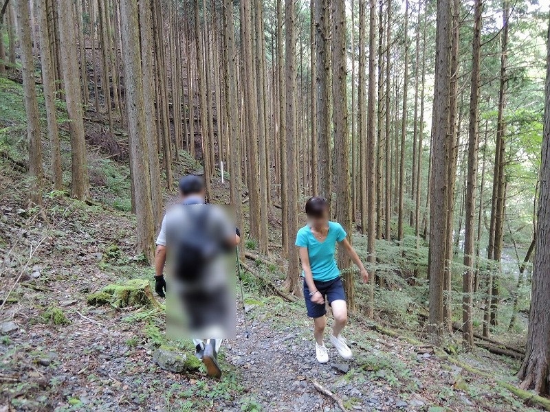 散策の画像その2