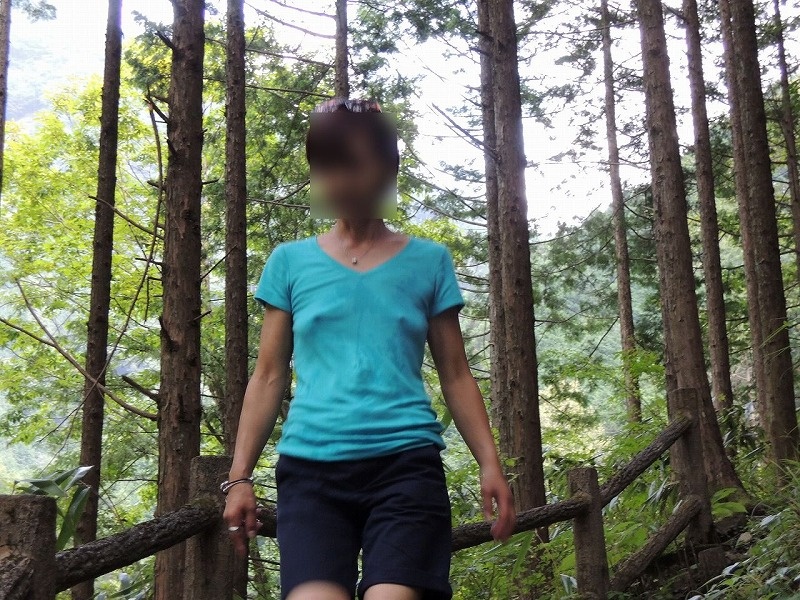 散策の画像その1